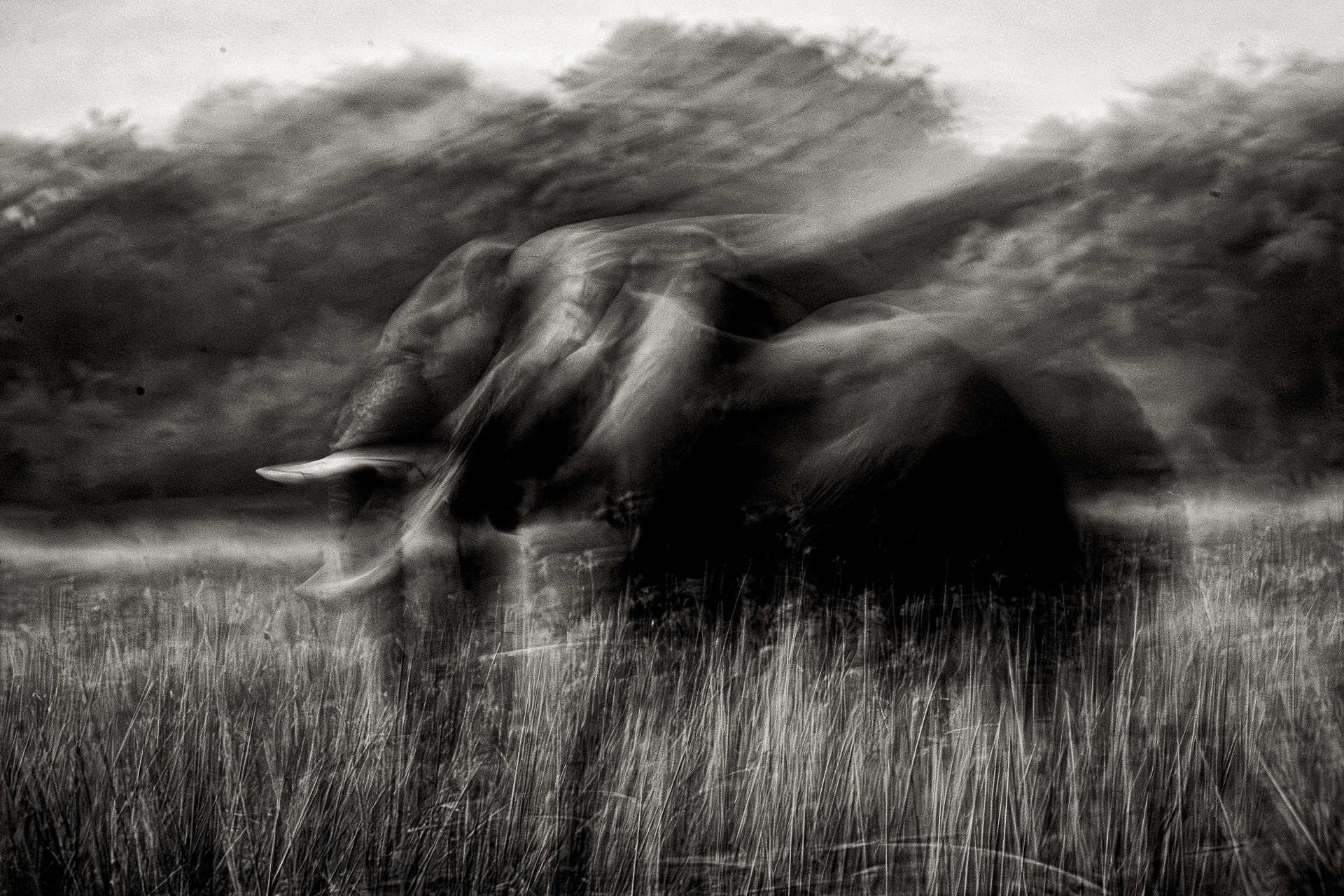 Photographing the Lower Zambezi: Two Habitats That Define the