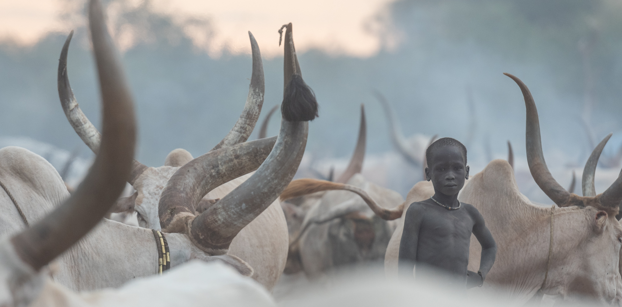 South Sudan Photo Safaris