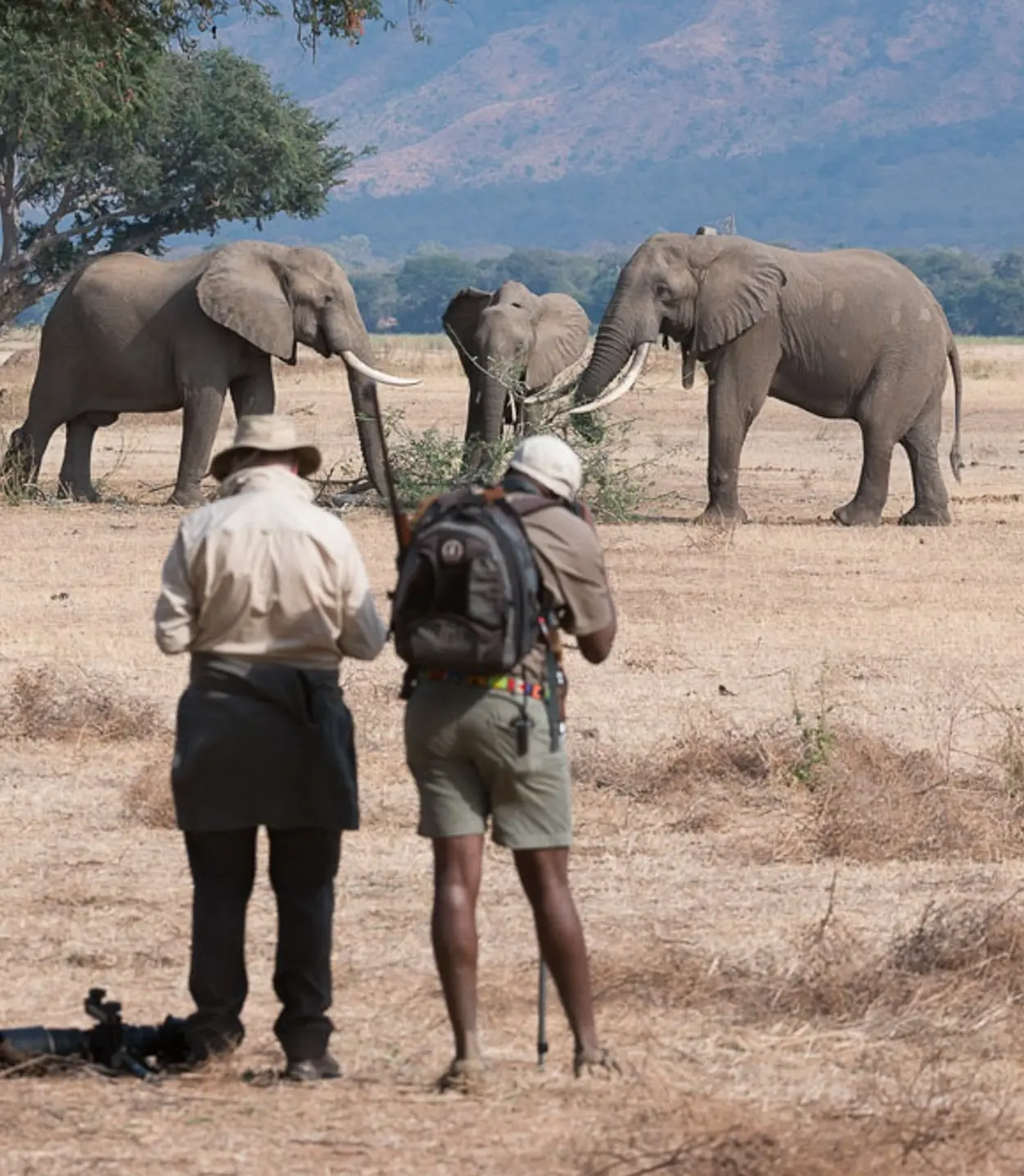 What sets C4 Photo Safaris Apart ?